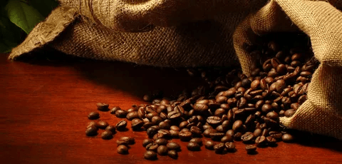 What Should You Look For In Wholesale Coffee Suppliers